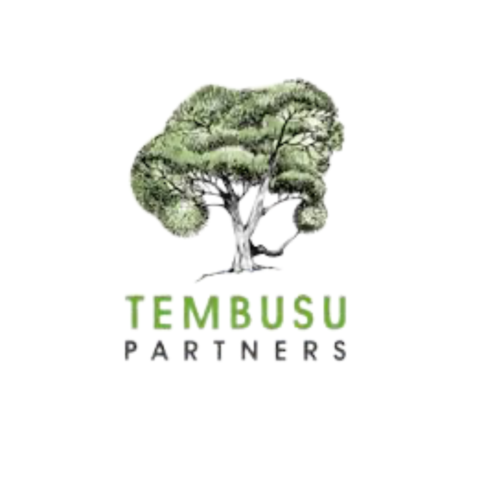 Tembusu Partners logo